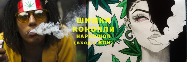 сатива Ладушкин