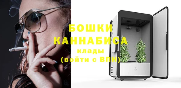 сатива Ладушкин