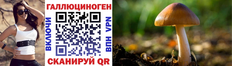 Псилоцибиновые грибы MAGIC MUSHROOMS  Уржум 